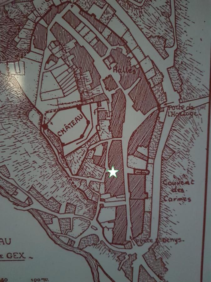 Hebergeneve : Aux Pieds Du Chateau Gex Esterno foto