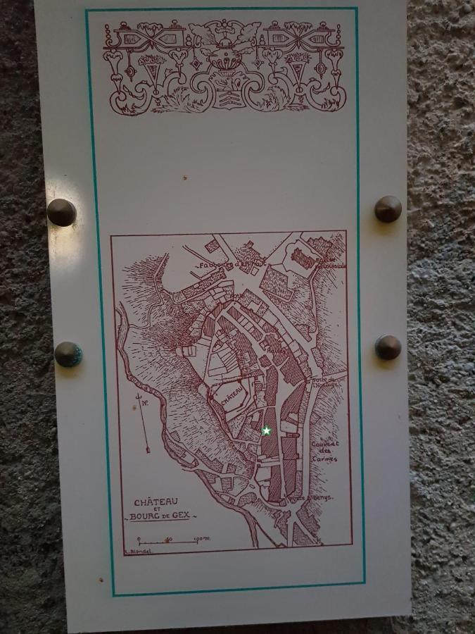 Hebergeneve : Aux Pieds Du Chateau Gex Esterno foto