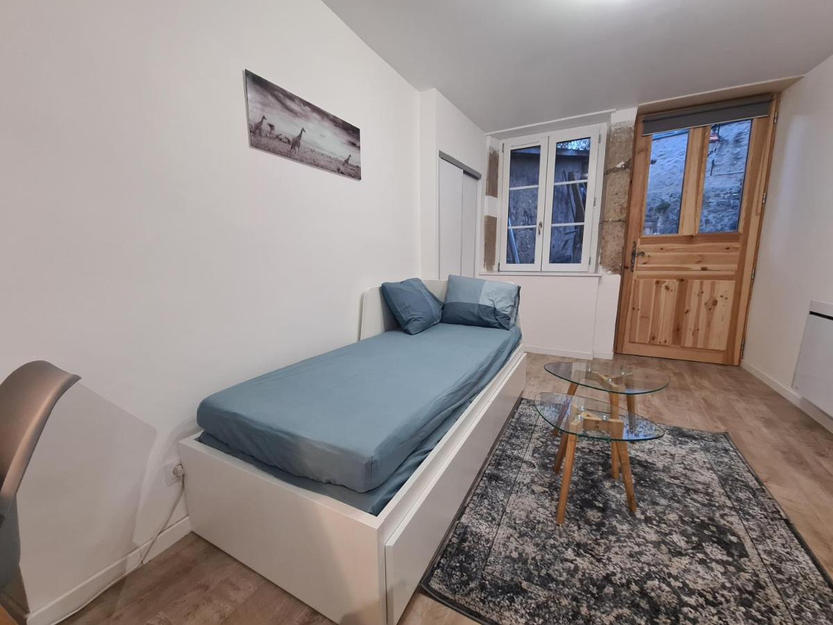 Hebergeneve : Aux Pieds Du Chateau Gex Esterno foto