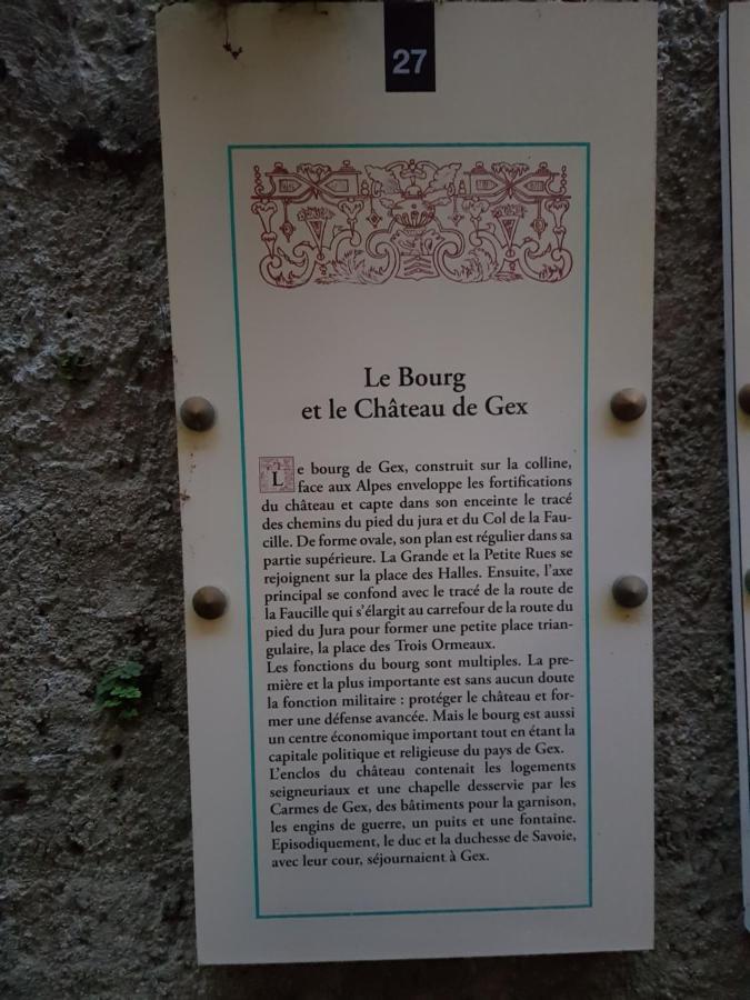 Hebergeneve : Aux Pieds Du Chateau Gex Esterno foto